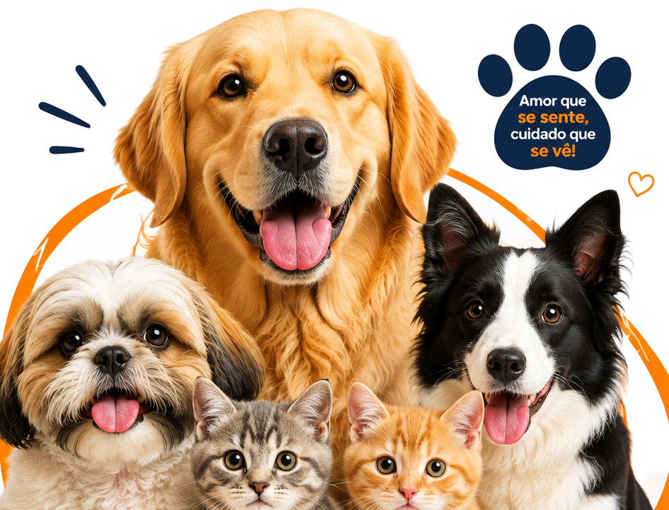 Cães e gatos do petshop